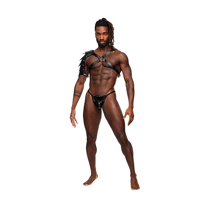 Weekend Deals to Make You Smile Aquarius Shoulder Shield Chest Harness