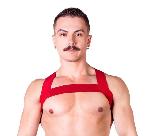 Weekend Savings Bonanza Prowler Red Sports Harness